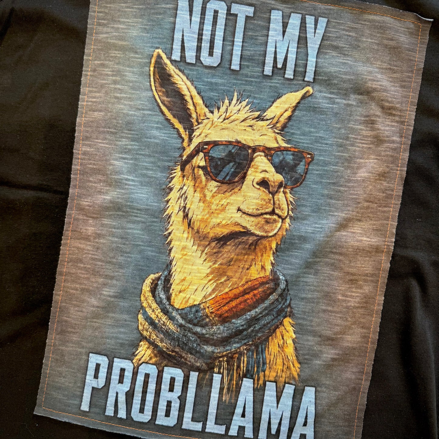 T-Shirt Stampa "Not My ProblLama"